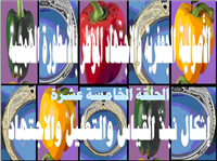 الإخبارية الإحدى عشرية وإشكال نبذ القياس والتعليل والاجتهاد