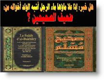 هل خبر إذا علا ماؤها ماء الرجل أشبه الولد أخواله من: ضعيف الصحيحين ؟