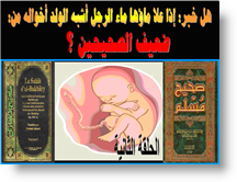 خبر عائشة أم المؤمنين