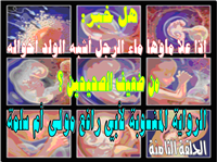 الرواية المنسوبة إلى أبي رافع مولى أم سلمة