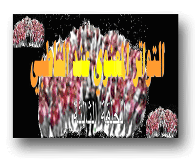 التواتر شبه المعنوي عند الشاطبي